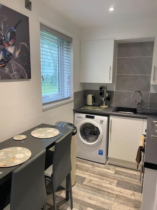 Cosy Studio Apartment 滑铁卢维尔 外观 照片